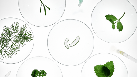 The Science Behind Natural Ingredients for Healthier Skin