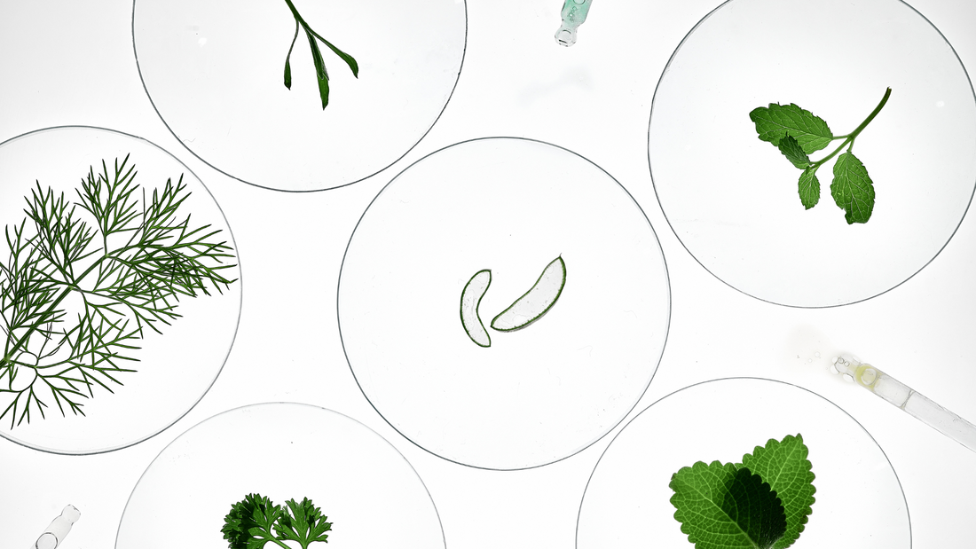 The Science Behind Natural Ingredients for Healthier Skin